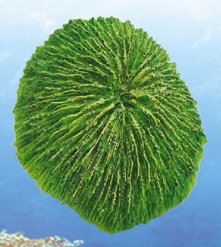 Грот Yuming "Морская губка", зеленая, 13х12,5х7,5 см