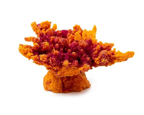 Кр-221 Коралл корона оранж акрил, 13*10*6.5 см