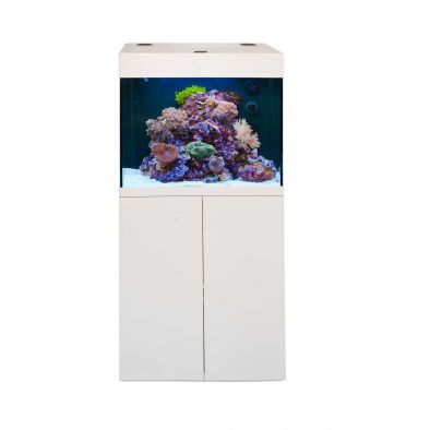 Aqua Medic "Kauderni" аквариум нанорифовый с тумбой, белый, 200 л