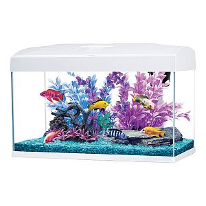 Аквариум AA-Aquariums Basic 54 л, белый, 585х305×385 мм