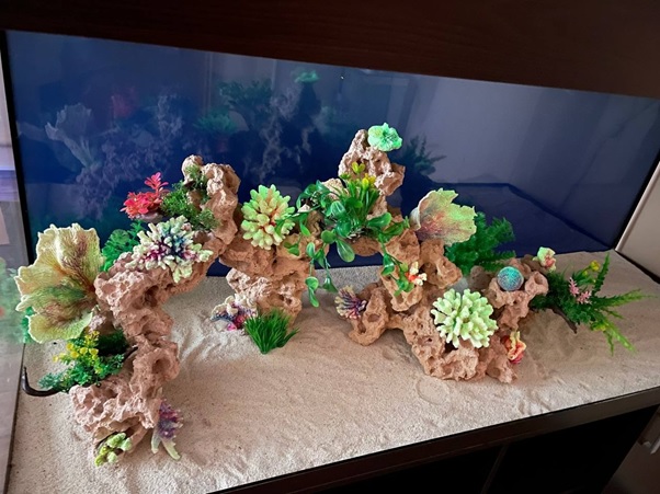 Aquaroche: декорации из биокерамики ― Неомарин - профессиональная аквариумистика