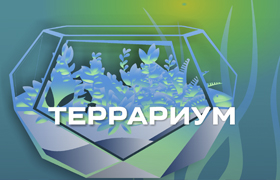 Террариумы ВС