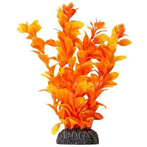 Растение Laguna «Людвигия» ярко-оранжевая, 200 мм