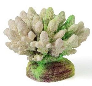 Кс-147 Коралл (зелёный), 13*10*10 см