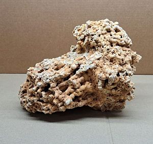 Камень Сухой морской, цена за 1 кг