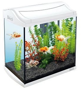 Tetra AquaArt Goldfish Discover Line аквариумный комплект, белый, 30 л