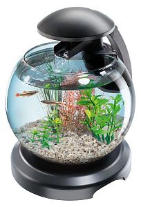 Tetra Cascade Globe аквариум круглый, черный, 6,8 л