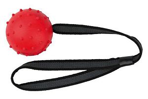 Мяч TRIXIE на веревке, D 5 см, 32 см, каучук
