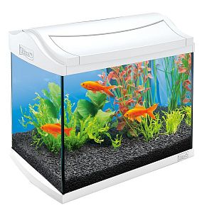 Tetra AquaArt GoldFish аквариумный комплект, белый, 20 л