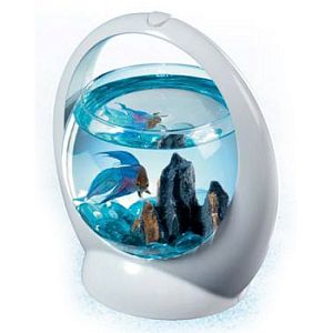 Tetra Betta Ring аквариум для петушков, круглый, 1,8 л