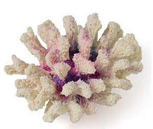 Кс-1520 Коралл броколи (фиолетовый), 14*13*7 см