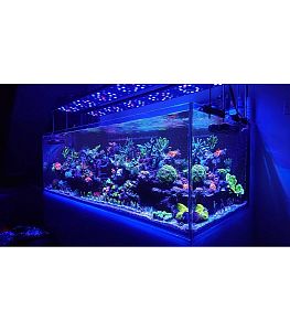 Светильник светодиодный ReefBreeders Photon 50-V2 Pro для рифового аквариума