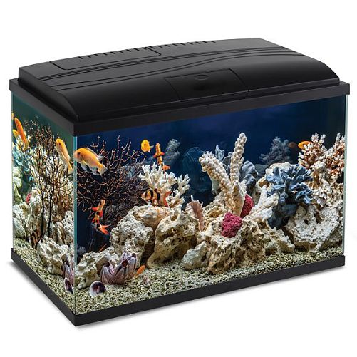 85 Gallon Rimless Aquarium, 30x24x24