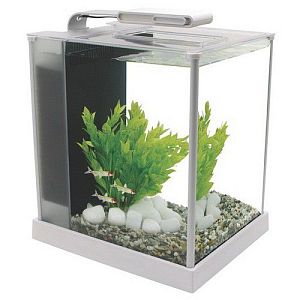 Hagen Fluval SPEC аквариум, белый, 10 л