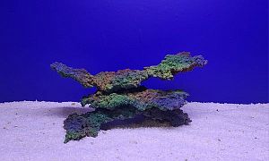 Камень Рифовый Цветной, 28×16.5×14.5см, 1123 г