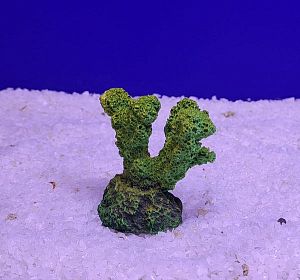 Кр-617 Коралл рога, Зелено-Желтый 5,5×3,5×5 см