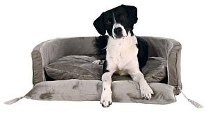 Лежак TRIXIE King of Dogs, 60×45 см, серо-коричневый
