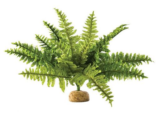 Искусственное растение Exo Terra Boston Fern, Бостонский папоротник средний