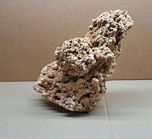 Камень Сухой морской, цена за 1 кг