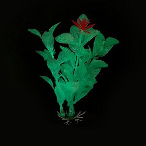 Растение Laguna светящееся «Ротала» зеленая, 100 мм, (пакет)