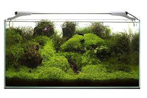 Светильник Aquael LEDDY SLIM PLANT д/аквариума 20−30 см, 5 Вт