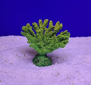 Кр-317 Коралл Акабария, Зелёно-Желтый 9х5×7 см