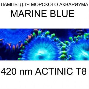 Лампа флуоресцентная Arcadia Т8 Marine Blue 420 Actinic 36 Вт, 1200 мм