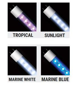 Лампа флуоресцентная Arcadia Т8 Marine White 14 000 K 18 Вт, 600 мм