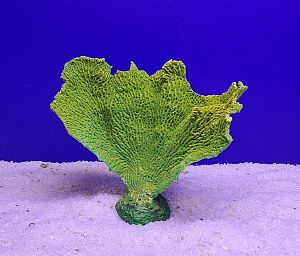 Кр-1417 Коралл веер, Зелено-Желтый17х7×15 см