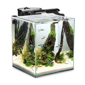 Aквариум Aquael SHRIMP SET DUO LED черный, 49 л, 35х35×40 см