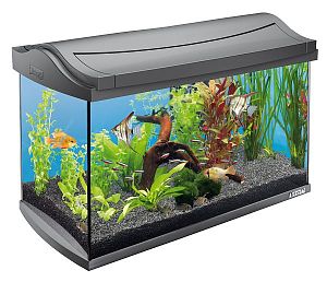 Tetra AquaArt аквариумный комплект, 60 л