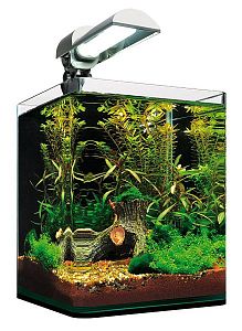 Нано-аквариум Dennerle NanoCube 20 25х25×30 см, 20 л