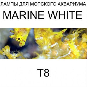 Лампа флуоресцентная Arcadia Т8 Marine White 14 000 K 30 Вт, 900 мм