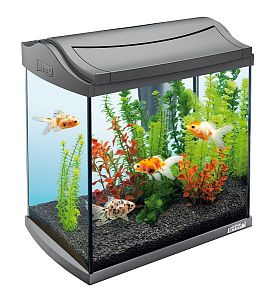 Tetra AquaArt Goldfish Discover Line аквариумный комплект, черный, 30 л