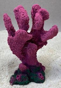 Цветной коралл пурпурный Коралл, 10*6*14 см