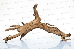 Корень дерева Aquadeco для аквариума/террариума, 50−70 см