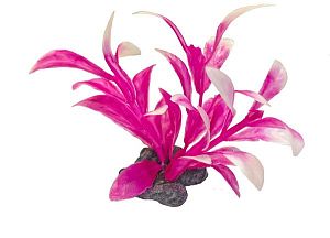 Растение пластиковое мини Tetra DecoArt Plant XS M Pink Refil розовое, 6 см, 6 шт.
