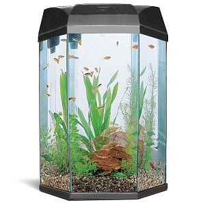 Аквариум AA-Aquariums «Hexagon», 22 л, черный, 330х300×433 мм