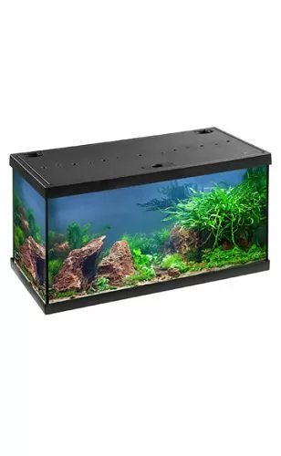 Аквариум Eheim Aquastar 54 LED черный, 54 л, 63x33x36 см