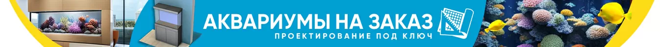 Аквариумы на заказ